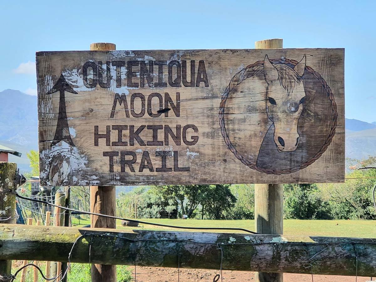 Outeniqua Moon Percheron Stud Farm Ruiterbos Eksteriør billede