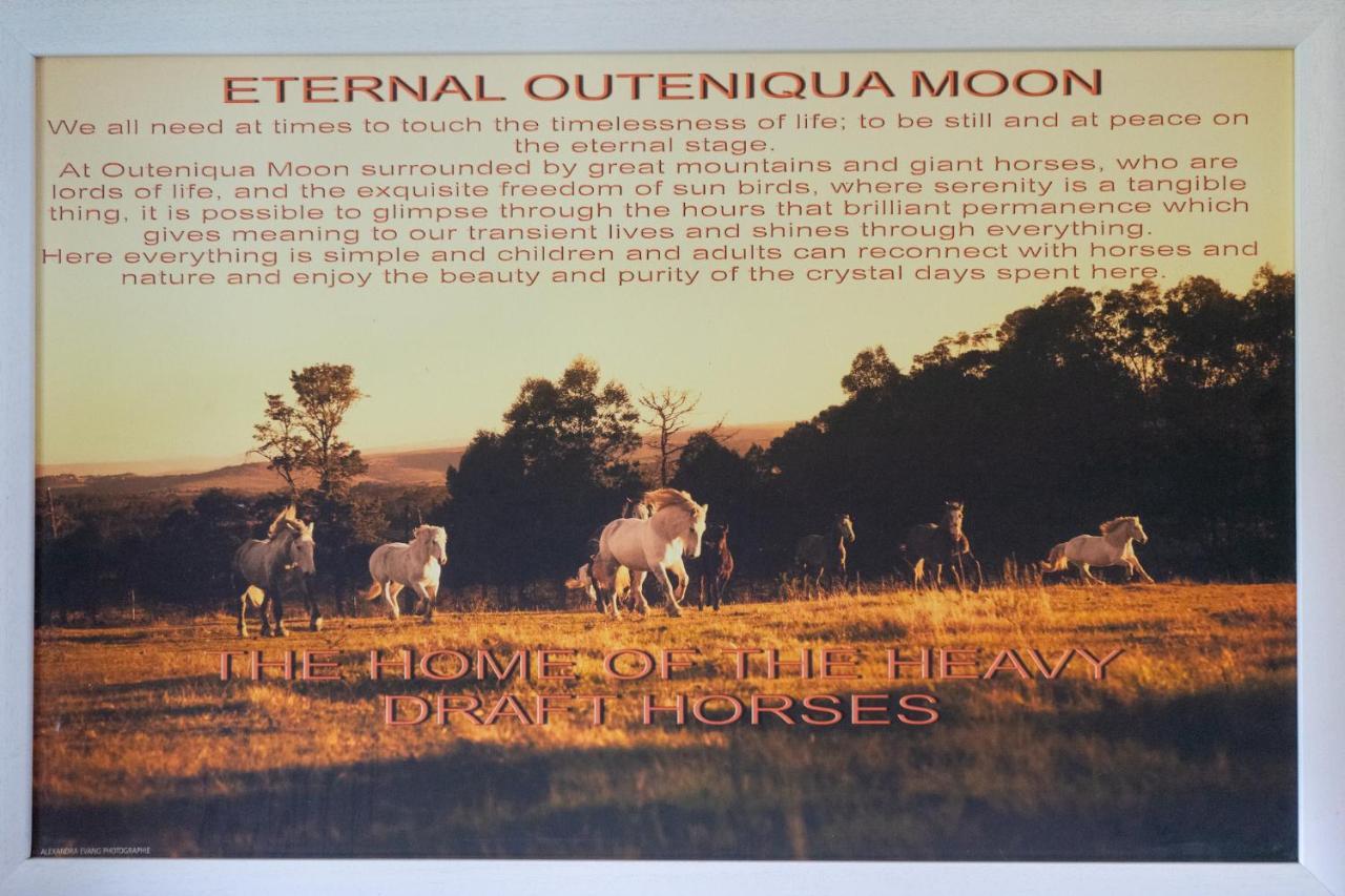Outeniqua Moon Percheron Stud Farm Ruiterbos Eksteriør billede