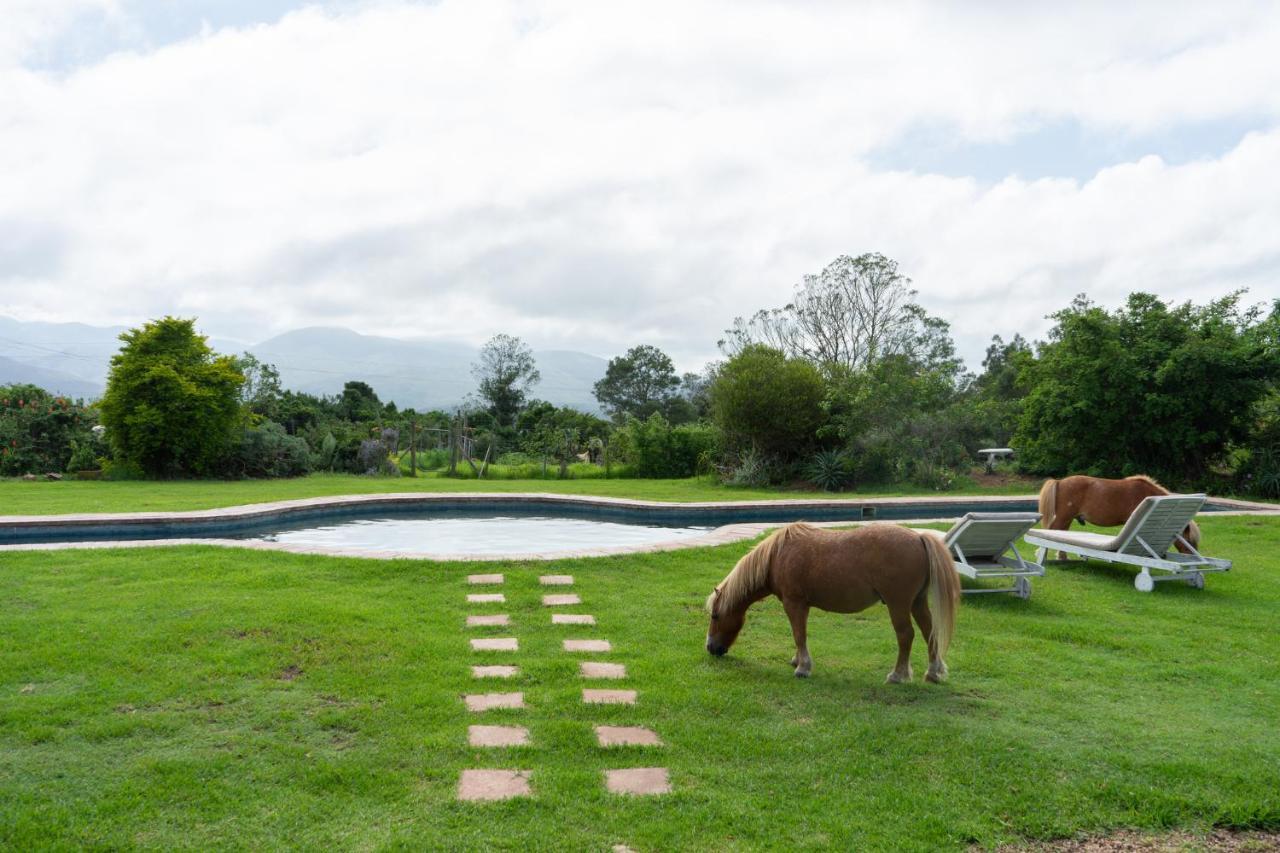 Outeniqua Moon Percheron Stud Farm Ruiterbos Eksteriør billede